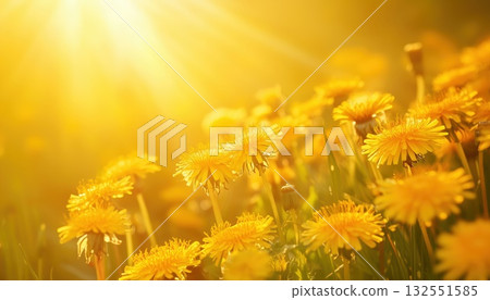 Beautiful Summer Scene 132551585