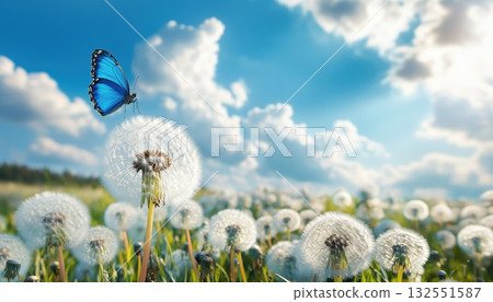 Beautiful Spring Scene Beautiful Spring Scene 132551587