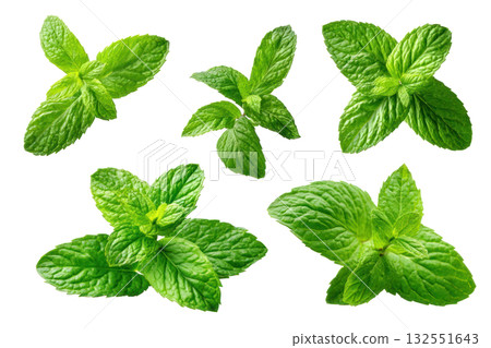 Fresh green mint leaves arranged artistically, showcasing vibrant colors and textures for culinary and design purposes. Isolated on transparent background. Fresh green mint leaves arranged artistically, showcasing vibrant colors and textures for culinary and design purposes. Isolated on transparent background. 132551643