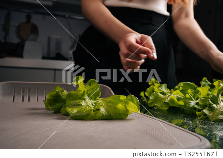 Cropped shot of female chef preparing fresh, homegrown green lettuce on cutting board, highlighting importance of healthy eating and embracing farm-to-table practices for nutritious meals. Cropped shot of female chef preparing fresh, homegrown green lettuce on cutting board, highlighting importance of healthy eating and embracing farm-to-table practices for nutritious meals. 132551671