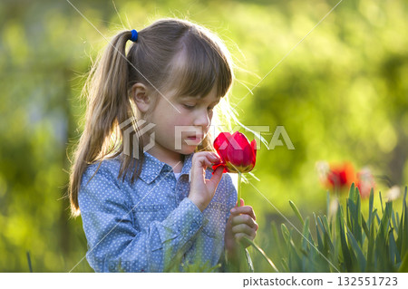 Profile of cute pretty smiling child girl with gray eyes and long hair smelling bright red tulip flower on blurred sunny summer green bokeh background. Profile of cute pretty smiling child girl with gray eyes and long hair smelling bright red tulip flower on blurred sunny summer green bokeh background. 132551723