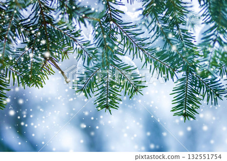 Pine tree branches with green needles covered with deep fresh clean snow on blurred blue outdoors copy space background. Merry Christmas and Happy New Year greeting postcard. 132551754