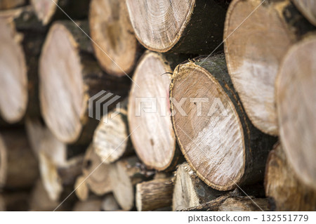 Neatly piled stack of chopped trunks outdoors on bright sunny day, abstract background, Fire wood logs prepared for winter, ready for burning. Environment protection concept. Neatly piled stack of chopped trunks outdoors on bright sunny day, abstract background, Fire wood logs prepared for winter, ready for burning. Environment protection concept. 132551779