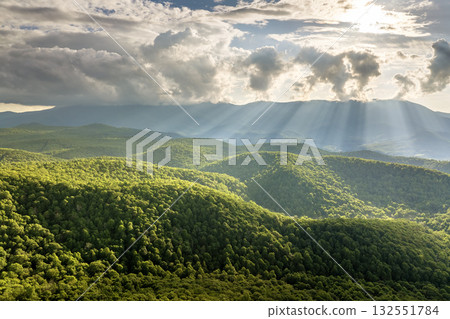 Morning forest in North Carolina Appalachian mountains, USA. Mount Mitchell peak in Blue Ridge Mountains. American nature in summer season Morning forest in North Carolina Appalachian mountains, USA. Mount Mitchell peak in Blue Ridge Mountains. American nature in summer season 132551784