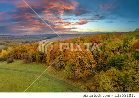 Lush evening forest and car track of dirt road in fall season. Colorful canopies in autumn woods on sunny day. Landscape of autumnal wild nature 132551813