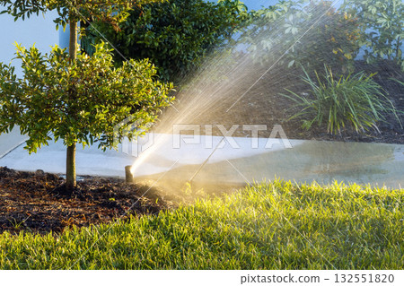 Lawn grass watering with automated sprinkler irrigation system 132551820