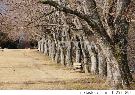 Winter Park "Yokkaichi Southern Hills Park" Winter Park "Yokkaichi Southern Hills Park" 132551895