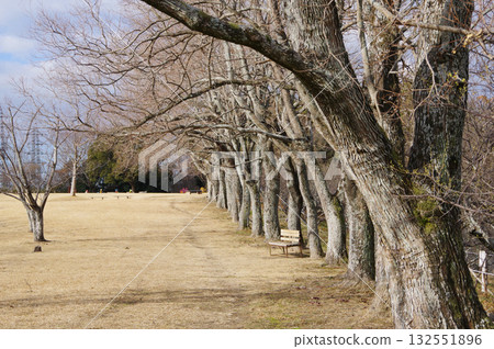 Winter Park "Yokkaichi Southern Hills Park" 132551896