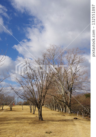 冬日公園“四日市南部丘陵公園” 冬日公園“四日市南部丘陵公園” 132551897