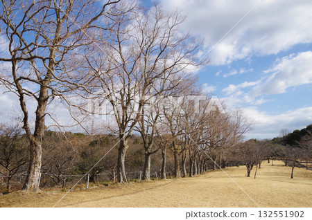 冬日公園“四日市南部丘陵公園” 132551902