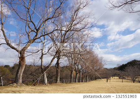 冬日公園“四日市南部丘陵公園” 冬日公園“四日市南部丘陵公園” 132551903
