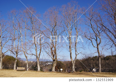 冬日公園“四日市南部丘陵公園” 132551909