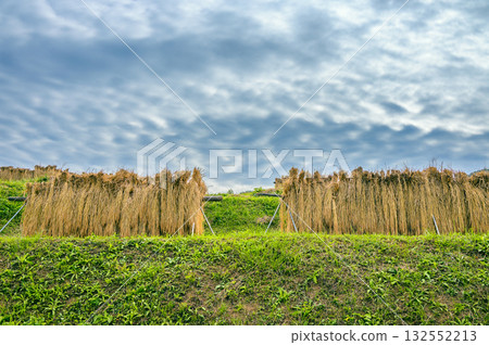 Autumn clouds and newly harvested rice hanging on rice racks [Obasute Rice Terraces] 132552213