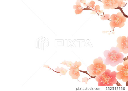 Background material: Plum blossoms cutout 132552338