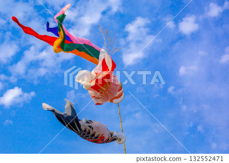 Carp streamer 132552471