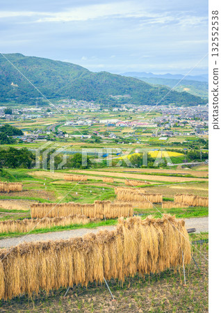 The scenery of rice racks and the Zenkoji Plain below [Obasute Rice Terraces] 132552538