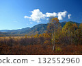 A plateau where autumn leaves and birch trees turn the colors of autumn 132552960