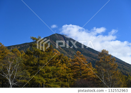 秋日落葉松林與雲霧繚繞的南台山 132552963