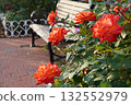Roses and benches 132552979