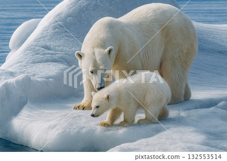 北極熊母子在浮冰上 132553514