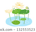 Illustration of lotus flowers, leaves, and fruit in a pond (white version) Illustration of lotus flowers, leaves, and fruit in a pond (white version) 132553523