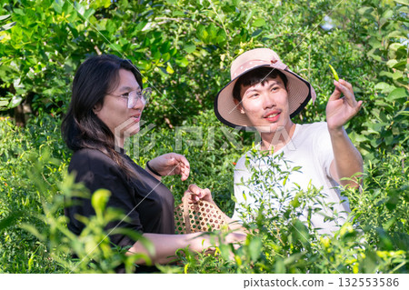 Two Thai LGBTQ friends picking chili peppers and smiling together in backyard garden during sunny evening showing joy friendship and simple lifestyle Two Thai LGBTQ friends picking chili peppers and smiling together in backyard garden during sunny evening showing joy friendship and simple lifestyle 132553586