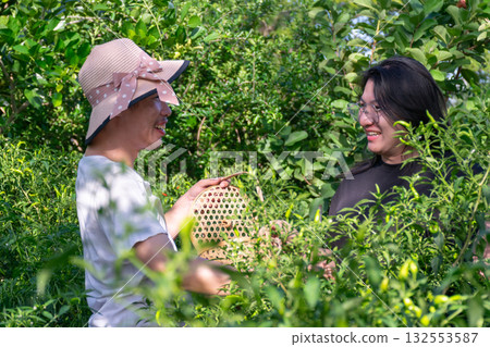 Two Thai LGBTQ friends laughing together while picking chili peppers in a green garden during evening showing happiness friendship and simple living Two Thai LGBTQ friends laughing together while picking chili peppers in a green garden during evening showing happiness friendship and simple living 132553587
