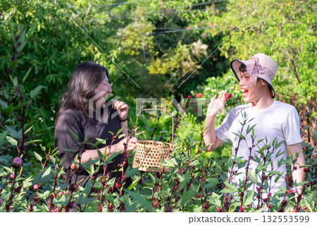 Two Thai LGBTQ friends laughing and picking roselle in green garden during warm evening light showing joy friendship love and peaceful simple lifestyle in nature 132553599