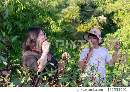 Two Thai LGBTQ friends tasting roselle while harvesting in green garden during warm evening sunlight expressing friendship joy love and peaceful natural lifestyle Two Thai LGBTQ friends tasting roselle while harvesting in green garden during warm evening sunlight expressing friendship joy love and peaceful natural lifestyle 132553601