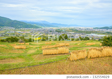 The scenery of rice racks and the Zenkoji Plain below [Obasute Rice Terraces] 132554029