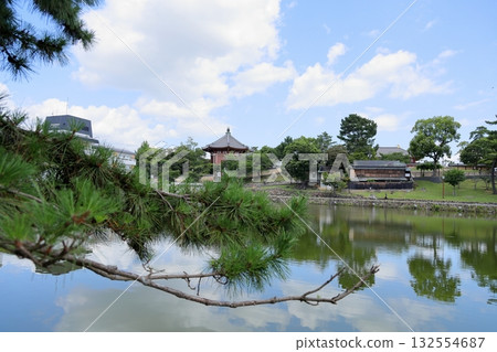 Through the pine branches of Kofuku-ji Temple's Nanendo Hall 132554687