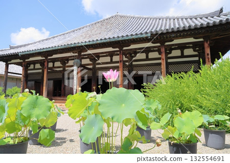Gangoji Temple lotus flower 132554691