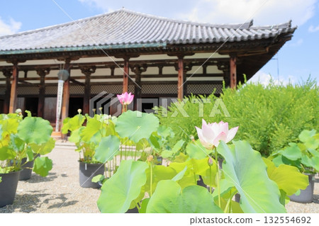 甘戈寺蓮花 132554692