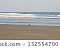 A crow standing on the shore 132554700