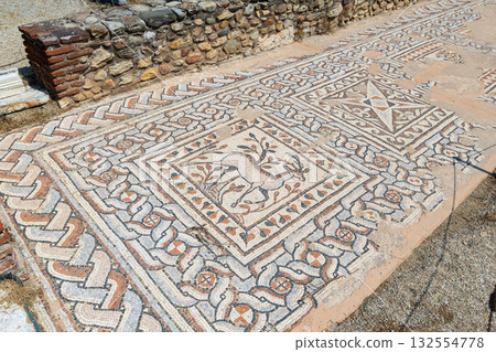 Mosaic in Heraclea Lyncestis - ancient greek city in Macedonia 132554778