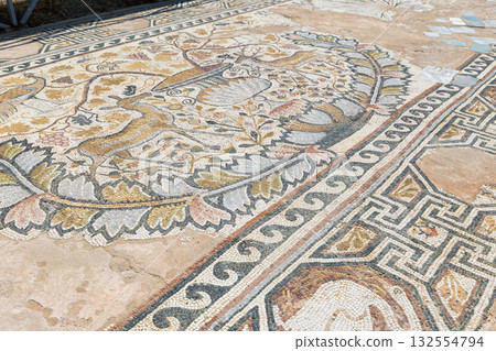 Mosaic in Heraclea Lyncestis - ancient greek city in Macedonia Mosaic in Heraclea Lyncestis - ancient greek city in Macedonia 132554794
