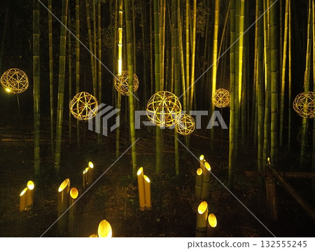 Arashiyama Moonlight Road Arashiyama Moonlight Road 132555245
