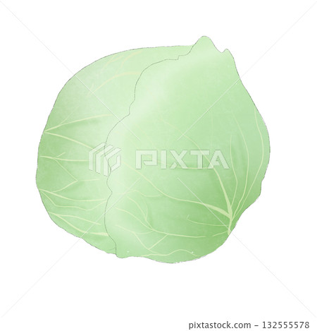 水彩畫的白菜插圖 水彩畫的白菜插圖 132555578