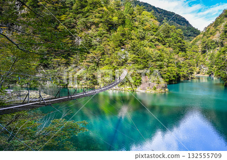 Dream Suspension Bridge in Sumata Gorge, Shizuoka Prefecture Dream Suspension Bridge in Sumata Gorge, Shizuoka Prefecture 132555709