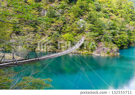 靜岡縣須俁峽的夢幻懸索橋 靜岡縣須俁峽的夢幻懸索橋 132555711