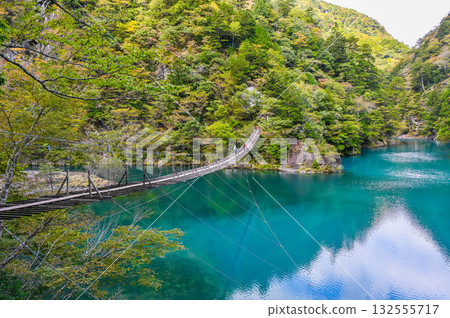 靜岡縣須俁峽的夢幻懸索橋 132555717