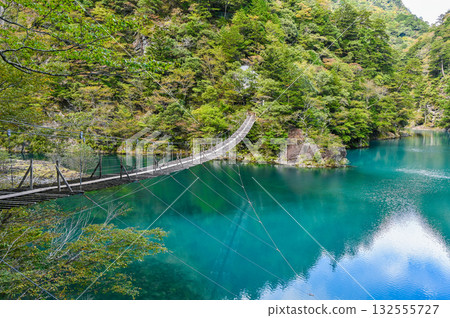 Dream Suspension Bridge in Sumata Gorge, Shizuoka Prefecture Dream Suspension Bridge in Sumata Gorge, Shizuoka Prefecture 132555727