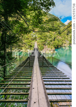 Dream Suspension Bridge in Sumata Gorge, Shizuoka Prefecture Dream Suspension Bridge in Sumata Gorge, Shizuoka Prefecture 132555738