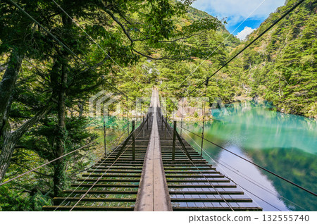 Dream Suspension Bridge in Sumata Gorge, Shizuoka Prefecture Dream Suspension Bridge in Sumata Gorge, Shizuoka Prefecture 132555740