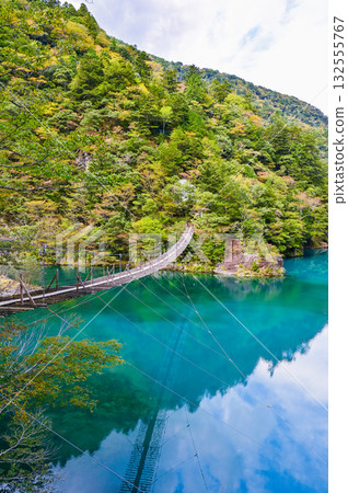 Dream Suspension Bridge in Sumata Gorge, Shizuoka Prefecture Dream Suspension Bridge in Sumata Gorge, Shizuoka Prefecture 132555767