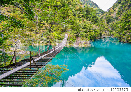 Dream Suspension Bridge in Sumata Gorge, Shizuoka Prefecture Dream Suspension Bridge in Sumata Gorge, Shizuoka Prefecture 132555775