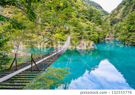 Dream Suspension Bridge in Sumata Gorge, Shizuoka Prefecture Dream Suspension Bridge in Sumata Gorge, Shizuoka Prefecture 132555776