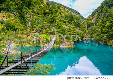 Dream Suspension Bridge in Sumata Gorge, Shizuoka Prefecture 132555779