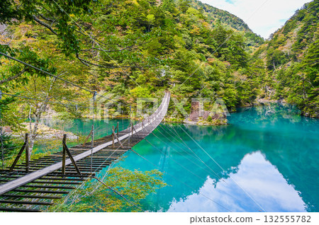 靜岡縣須俁峽的夢幻懸索橋 靜岡縣須俁峽的夢幻懸索橋 132555782