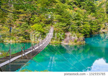 Dream Suspension Bridge in Sumata Gorge, Shizuoka Prefecture 132555785